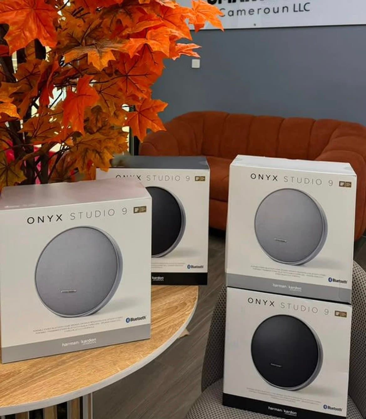 Harman Kardon ONYX Studio 9